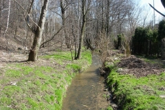Ślepiotka 1
