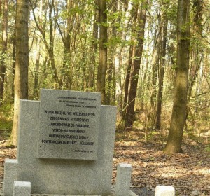 Mogiła w piotrowickim lesie - Jan Kamieńczyk