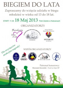 Biegiem do lata 2013