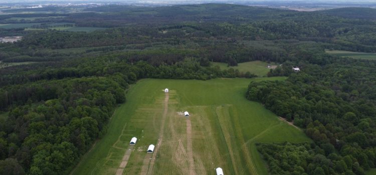 Manufaktura Dobra – świeże mięso ekologiczne prosto z pastwiska